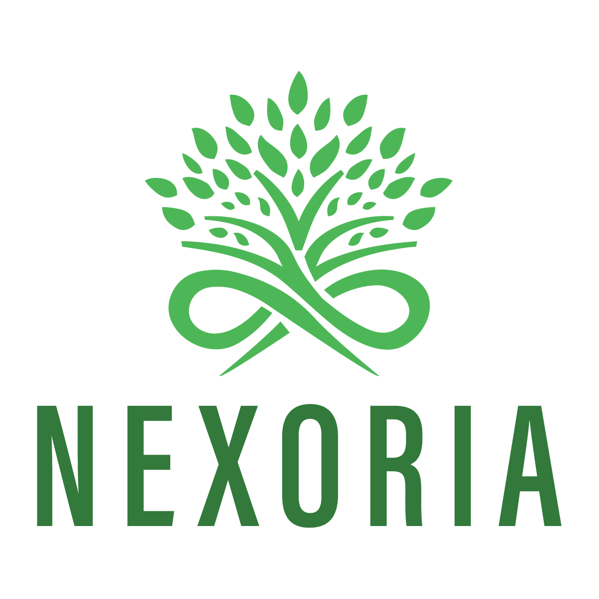 Nexoria Logo